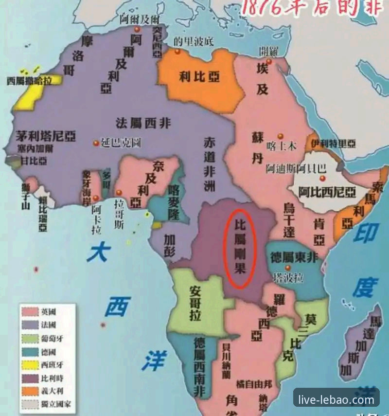 民主刚果52年后再进世界杯：乐宝体育深度观赛指南