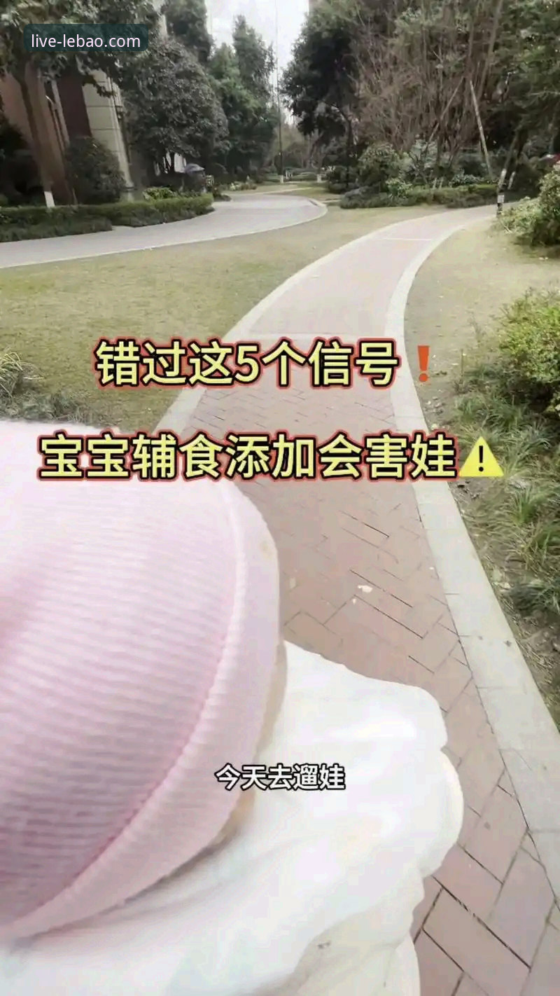 2026乐宝体育登录完整指南：从新手到高手的全方位操作教程